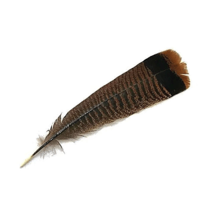 Signature Turkey Feather - Tailor Hats